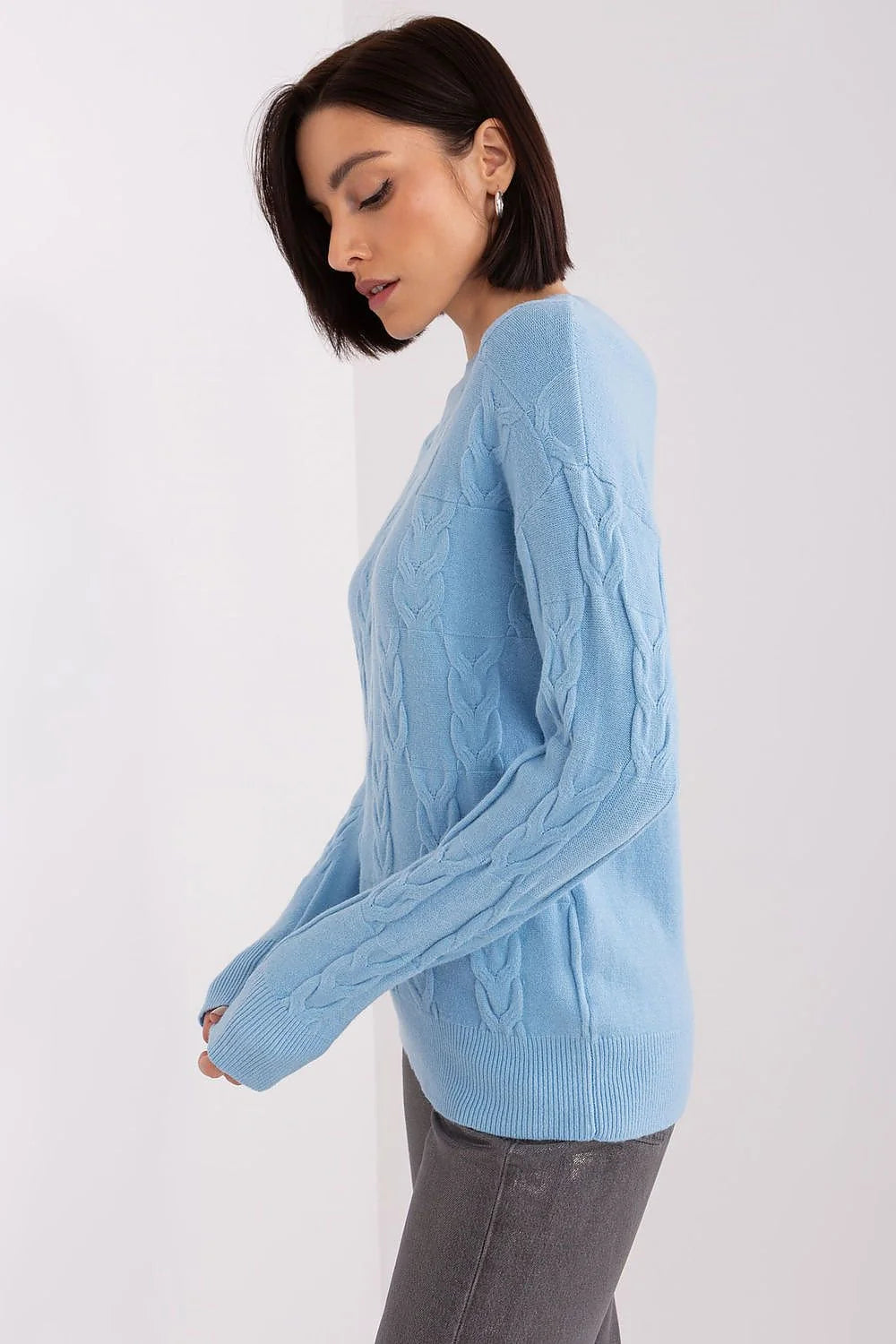 Chandail maille femme design élégant coupe ample col rond manches longues poignet resserré finitions côtelées bleu ciel