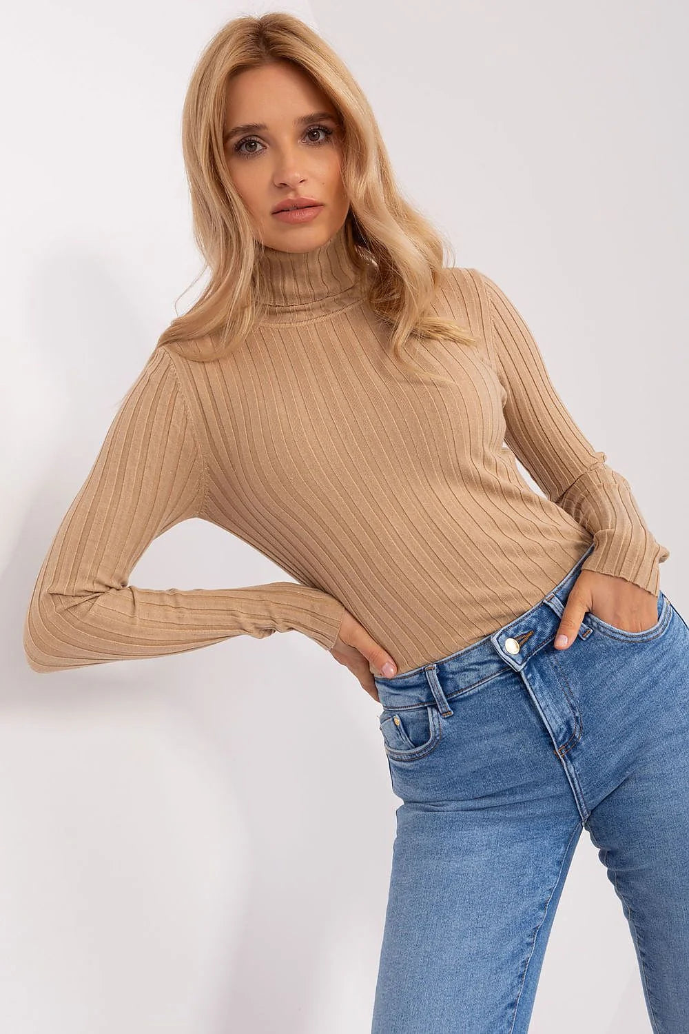 Pull à col roulé élégant moderne en viscose polyester nylon coupe ajustée tissu côtelé beige clair femme