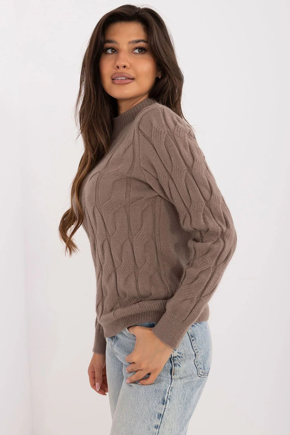 Pull pour femme col rond motifs torsades brun taupe matériau tricot épais manches longues ajusté