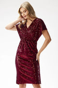 Robe de soirée élégante fourreau sequins couleur bordeaux coupe ajustée manches courtes finitions impeccables occasions spéciales mode féminin haute qualité