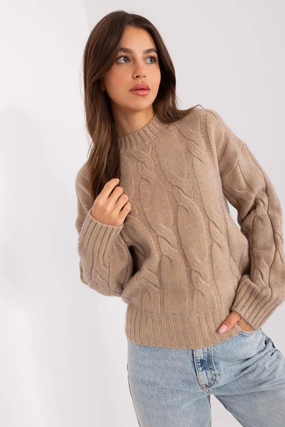 Chandail pour femmes élégant beige longueur standard manches longues torsades tricot côtelé style intemporel