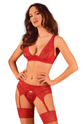 Ensemble sexy Obsessive rouge dentelle florale lingerie femme soutien-gorge porte-jarretelles string occasion spéciale
