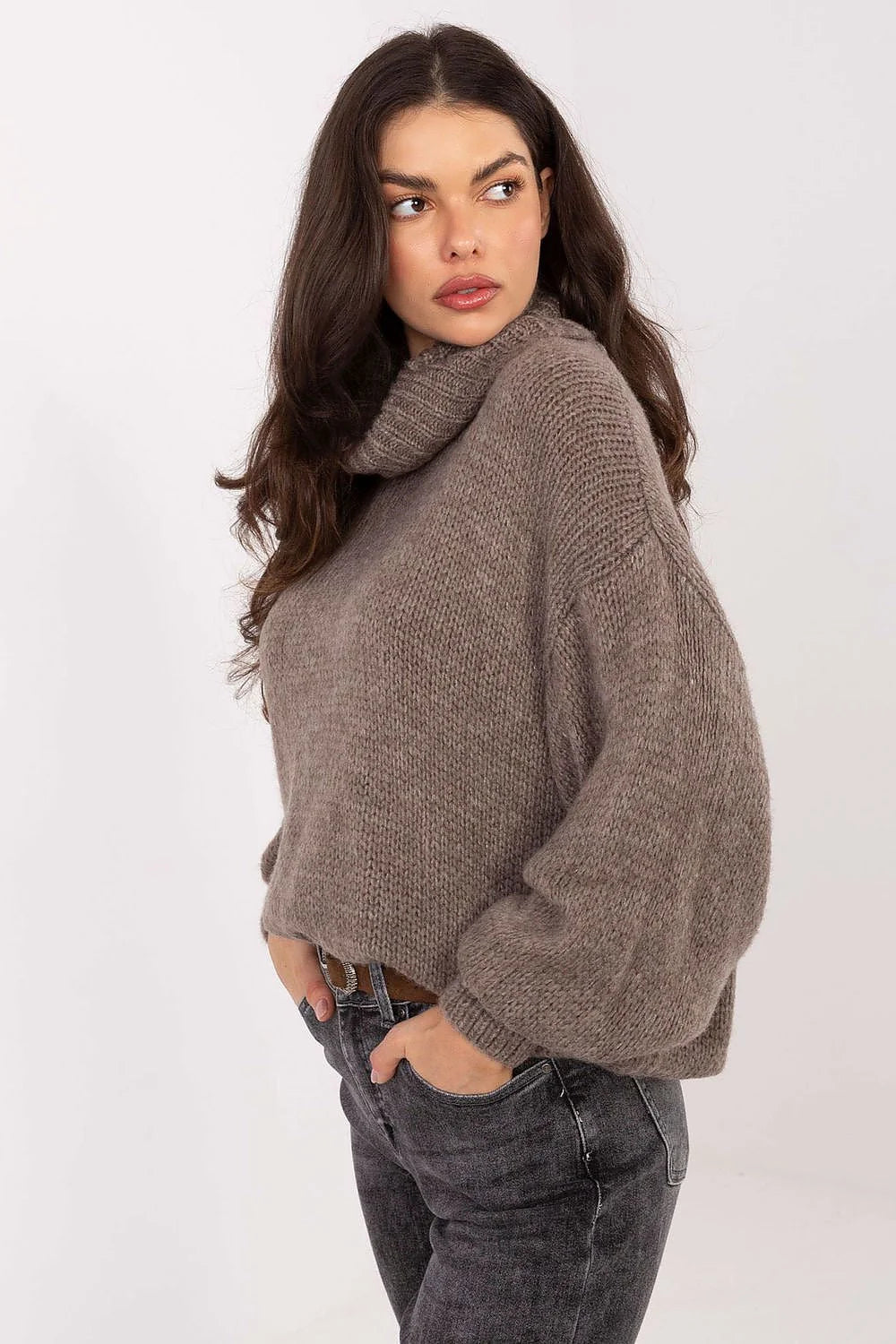 pull femme col roulé oversize grosse maille taupe coupe courte manches ballon moelleuse mohair acrylique nylon doux cocooning confortable hivernal