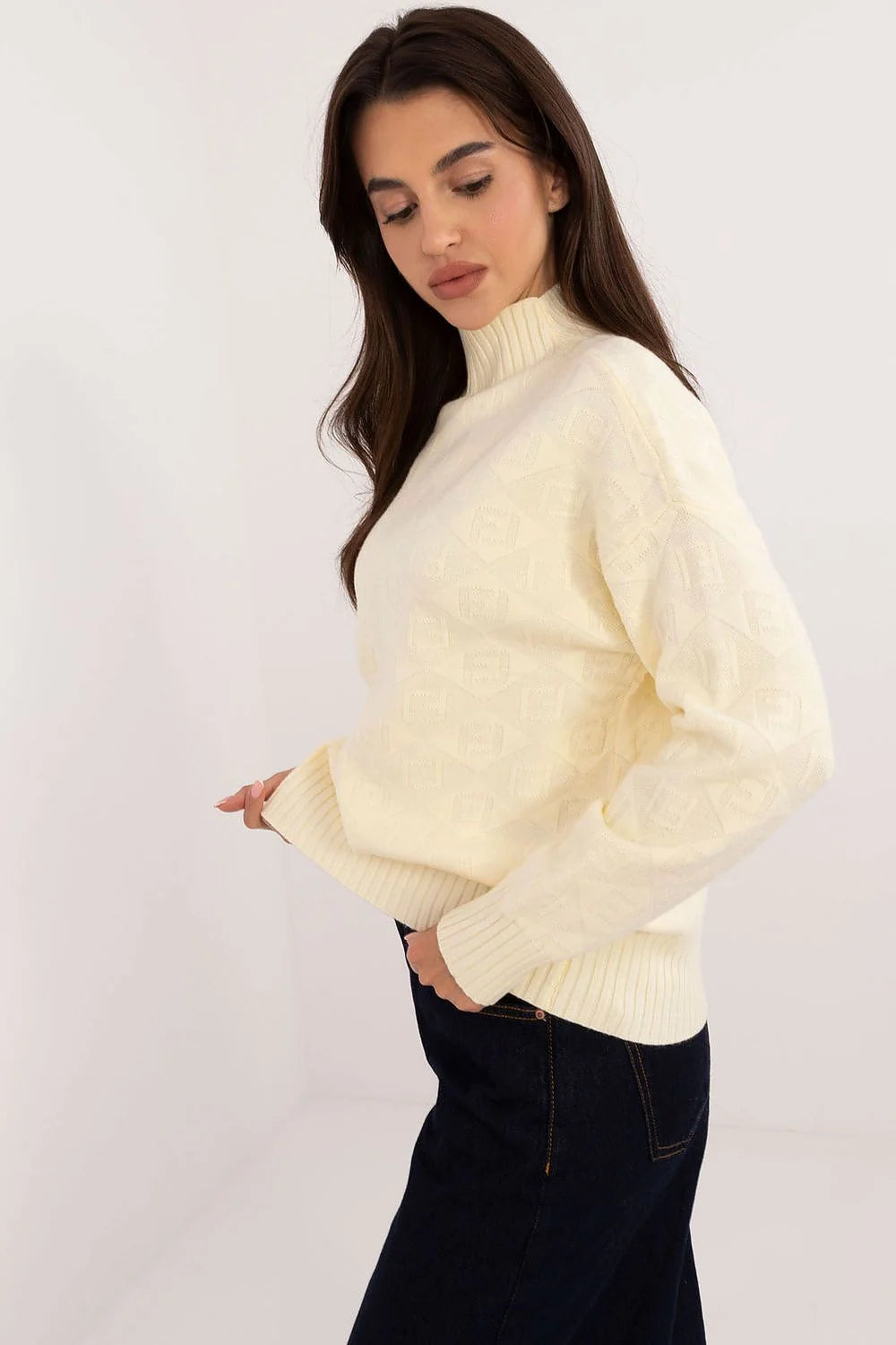Pull à col roulé pour femme en mélange acrylique polyester texture variée manches longues coupe classique style moderne intemporel